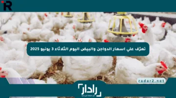 تعرّف على أسعار الدواجن والبيض اليوم الثلاثاء 3 يونيو 2025